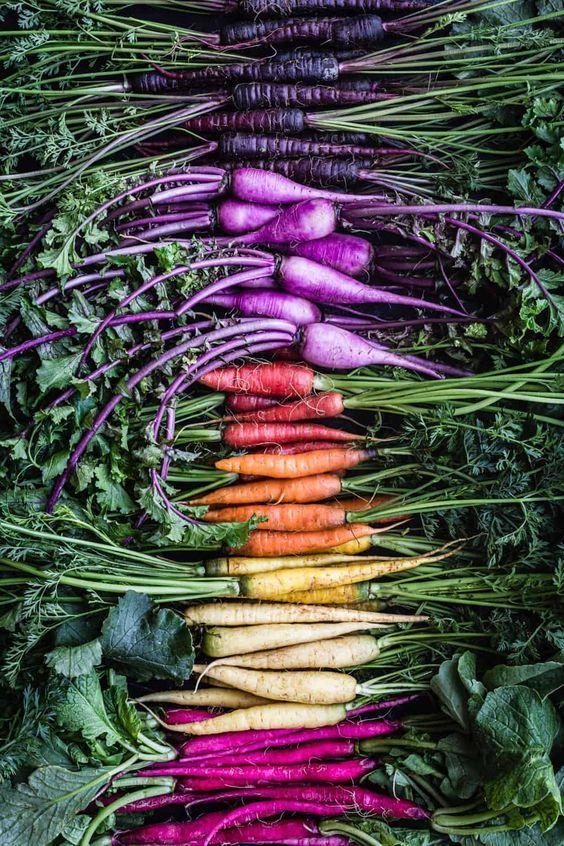 Nature's Palette: Eco-Grown Berry Collection