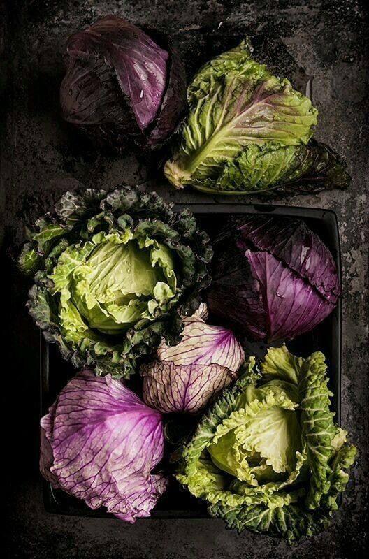 Garden Splendor: Hand-Picked Veggie Ensemble